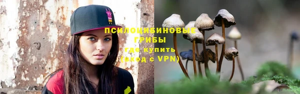 гашик Белоозёрский