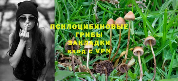 гашик Белоозёрский