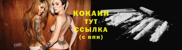 spice Белокуриха