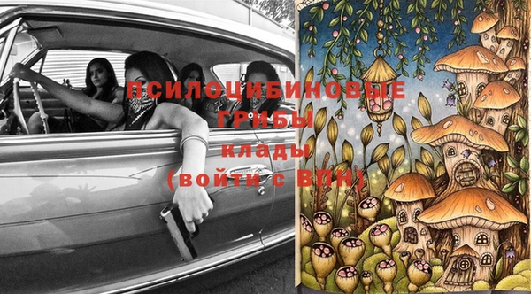 гашик Белоозёрский