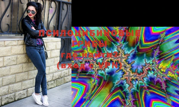 spice Белокуриха