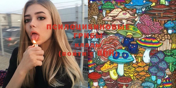 гашик Белоозёрский