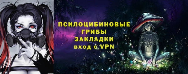spice Белокуриха