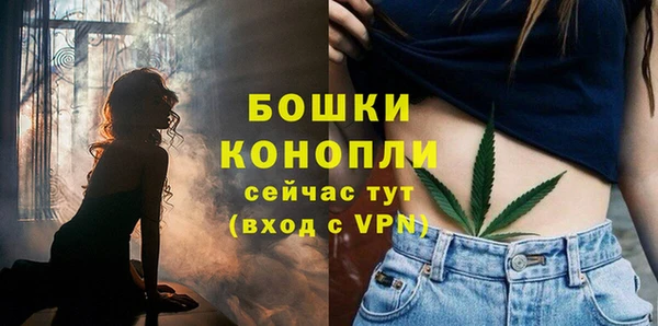 spice Белокуриха