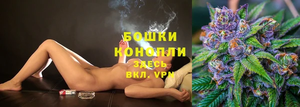 гашик Белоозёрский